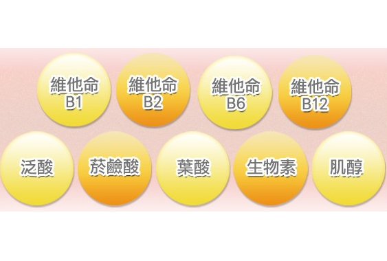 维生素检测仪